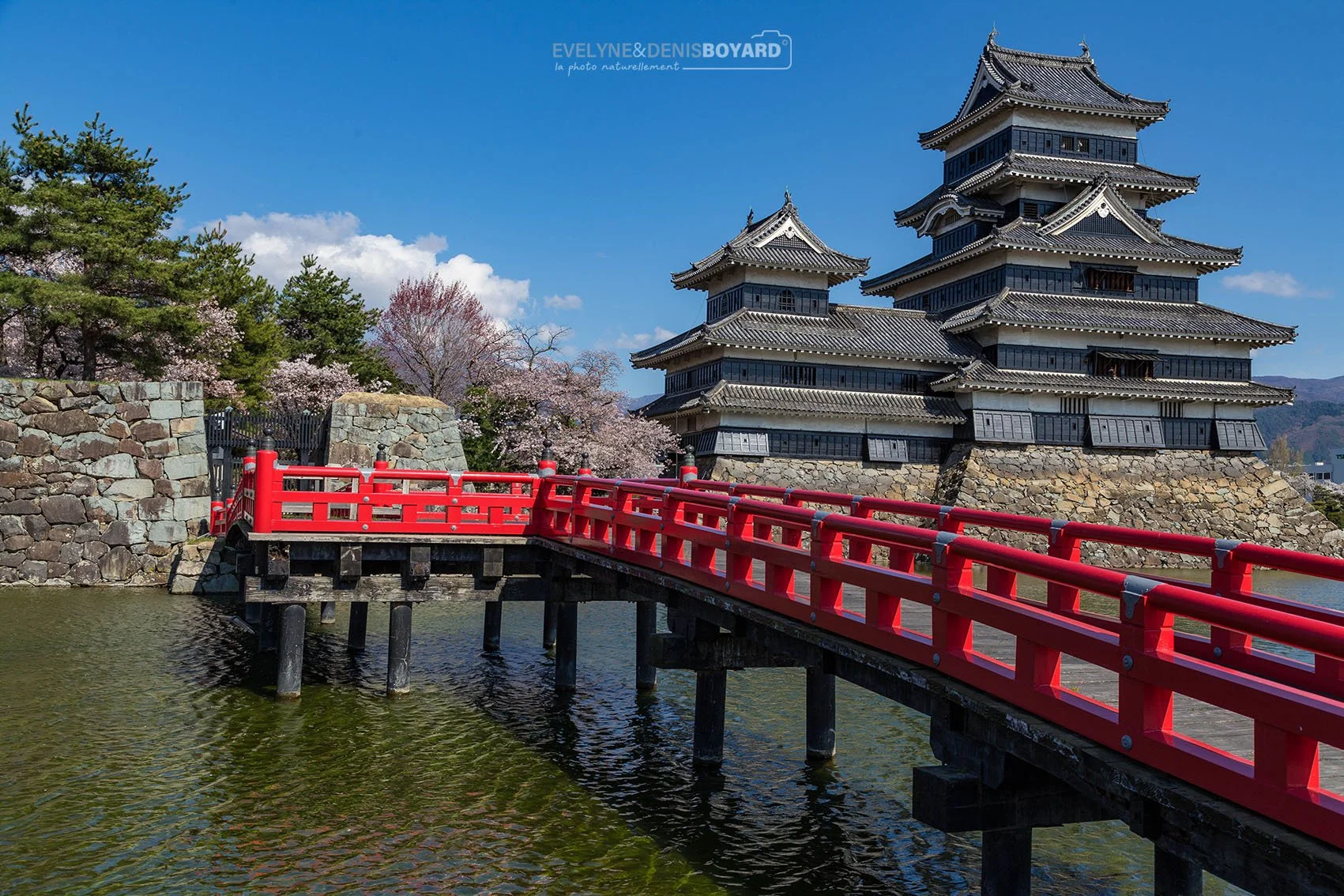 Matsumoto, le château noir du corbeau, près de Nagano.