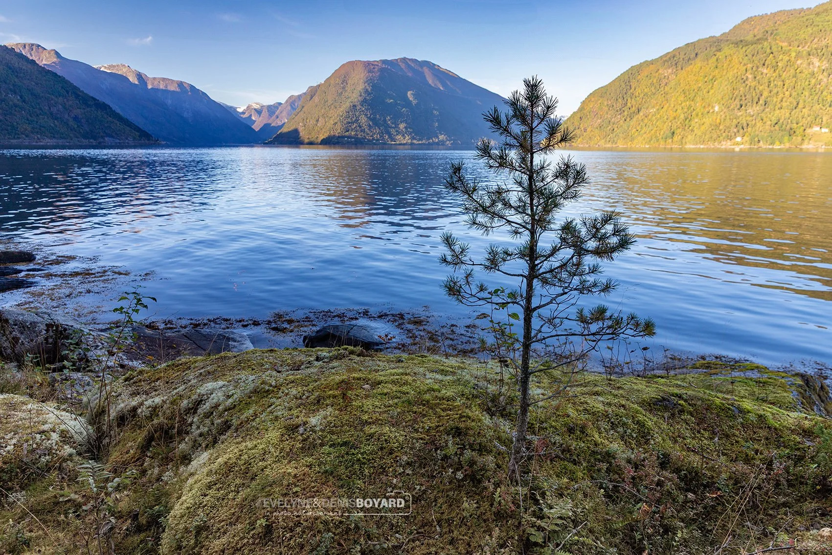 Fjord de Dragsvik, près de Balestrand.