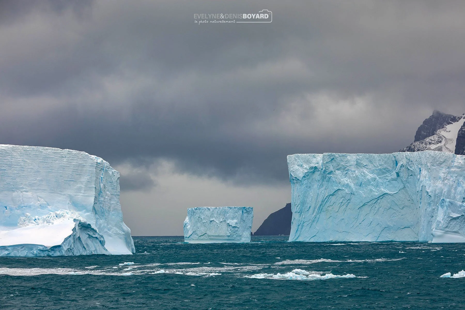 Icebergs près des côtes de Géorgie du Sud.