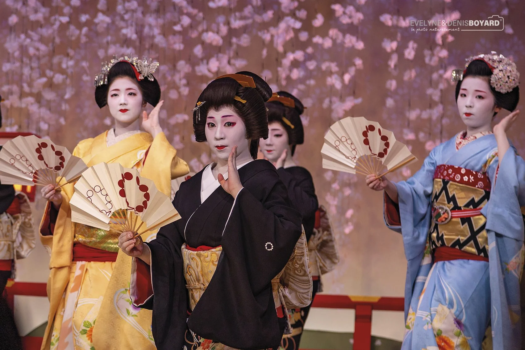 Le Miyako Odori, la danse des cerisiers à Kyoto.