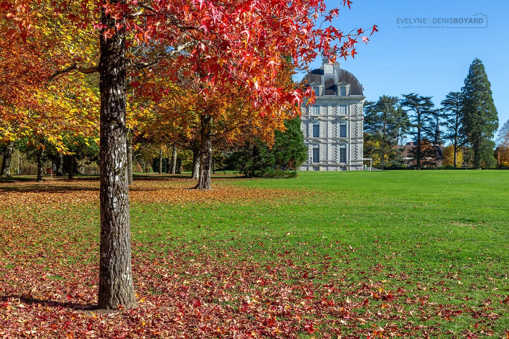 Château de Cheverny à l'automne (Loir-et-Cher).