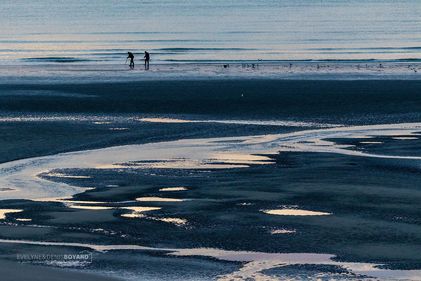 Pêcheurs à pied à Cayeux (Somme).