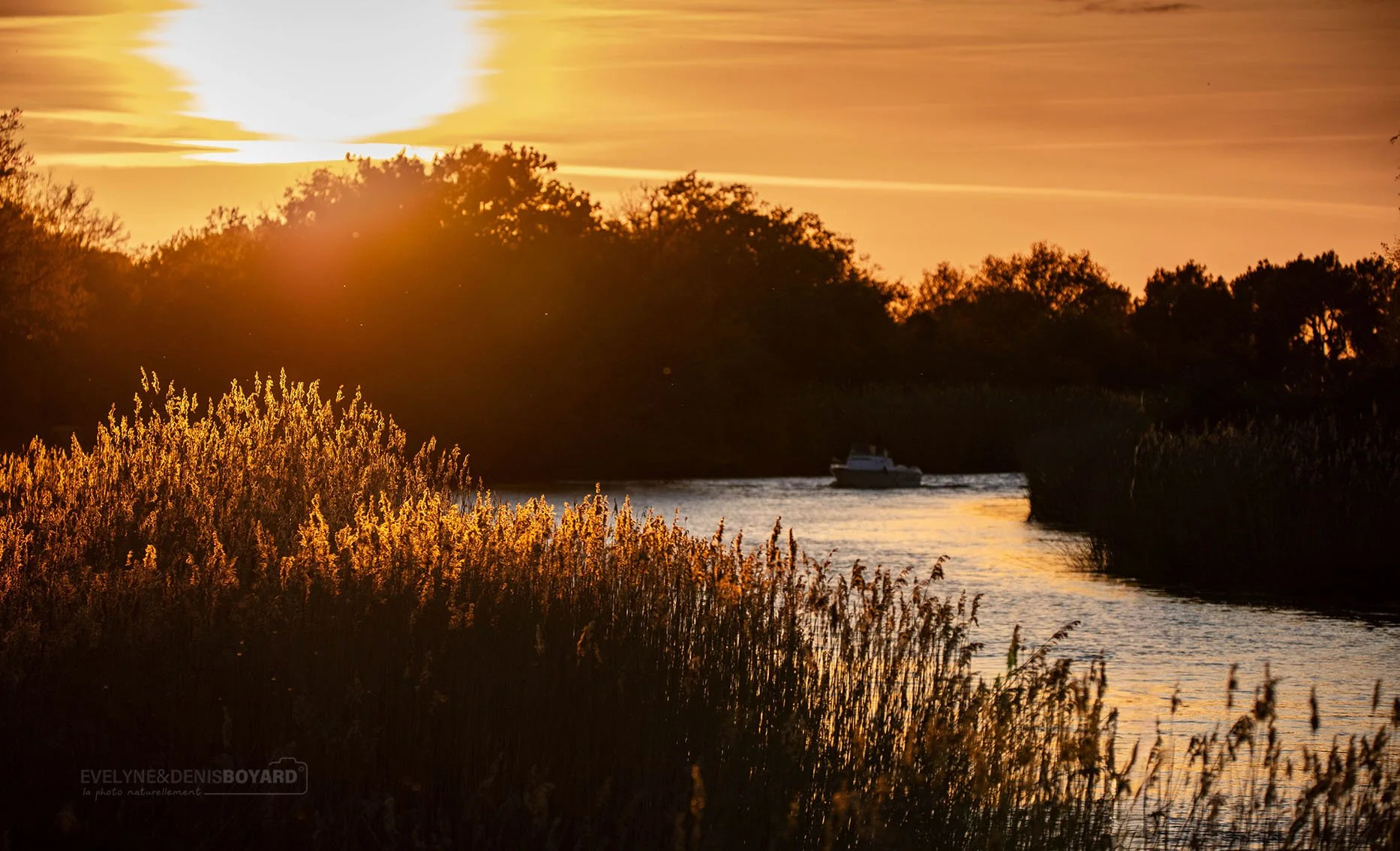 Le delta de la Leyre, au soleil couchant, bassin d'Arcachon (Gironde).