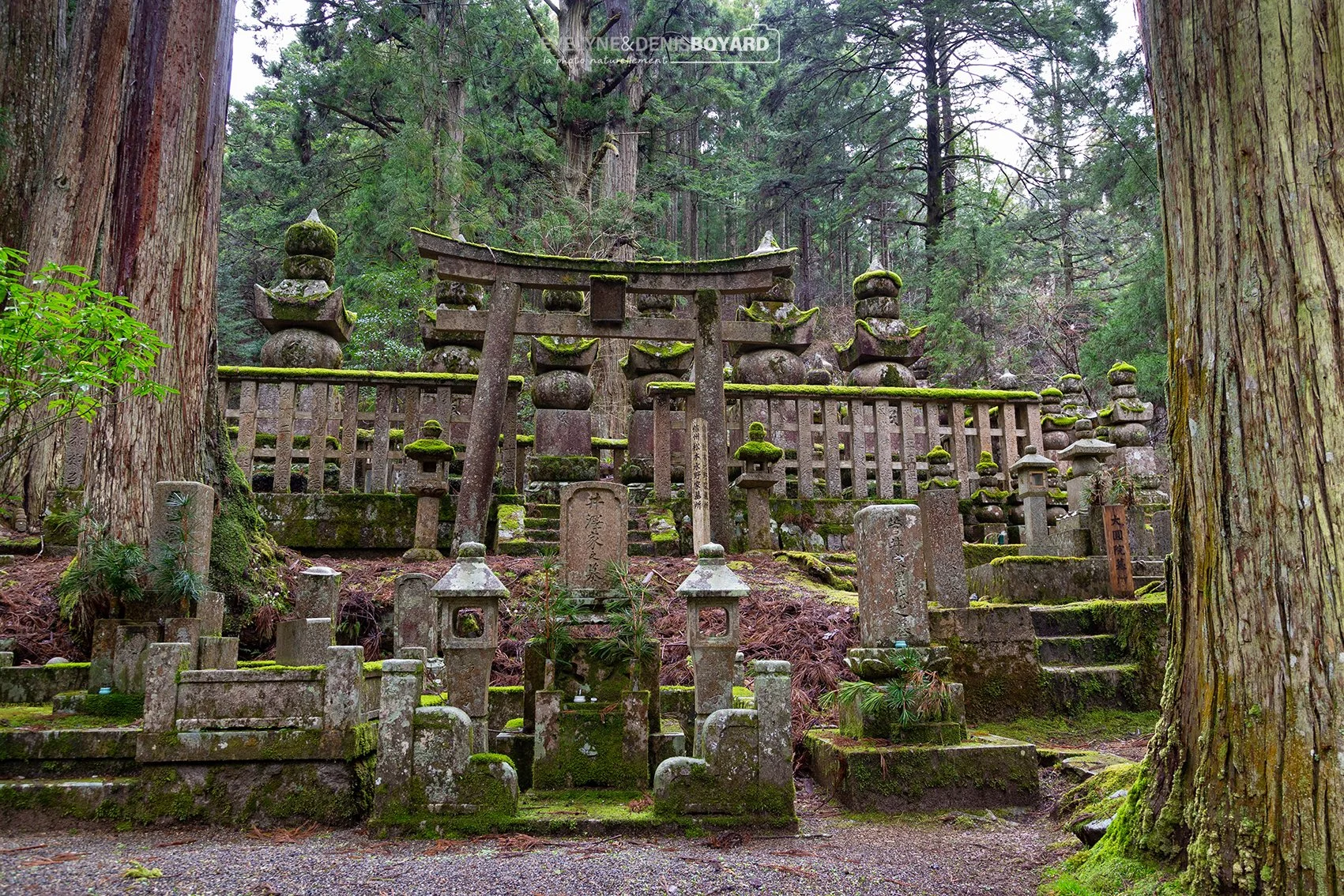 Nécropole de Oku-noin, le plus grand cimetière du Japon, Mont Koya, Osaka.