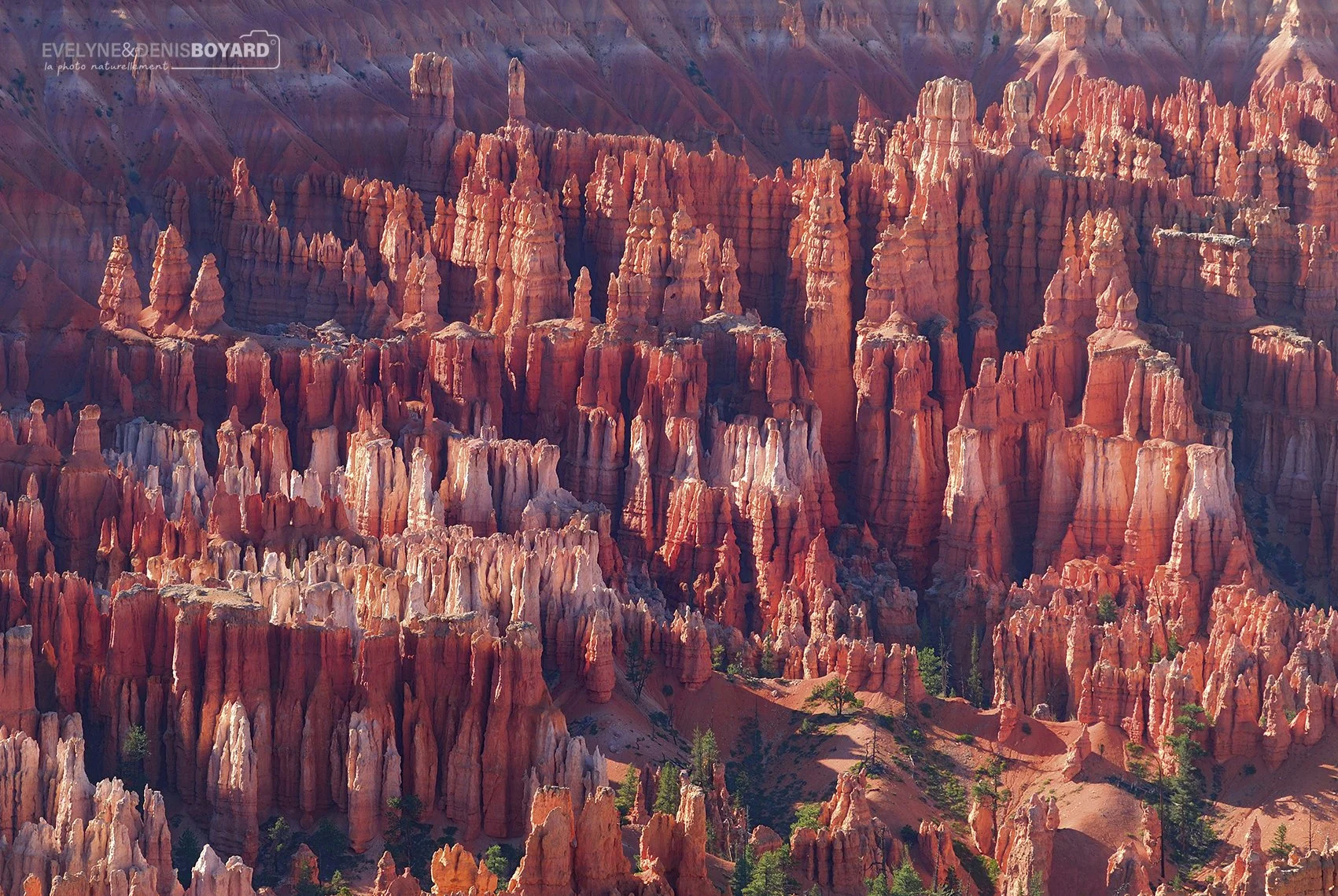 Bryce Point, l'un des belvédères du parc national Bryce Canyon (Utah).