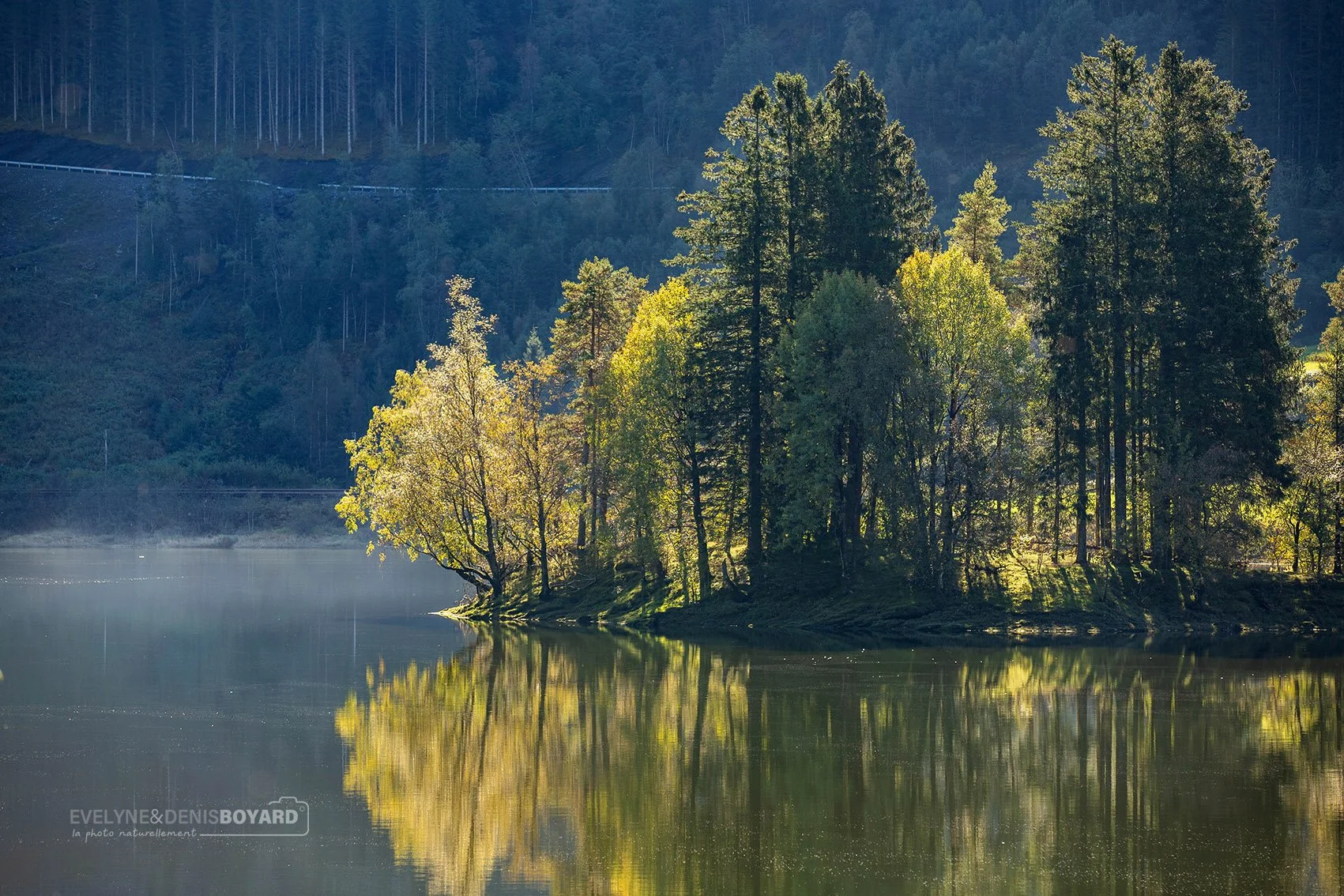 Arbres se reflétant dans le lac Vangsvatnet près de Voss.