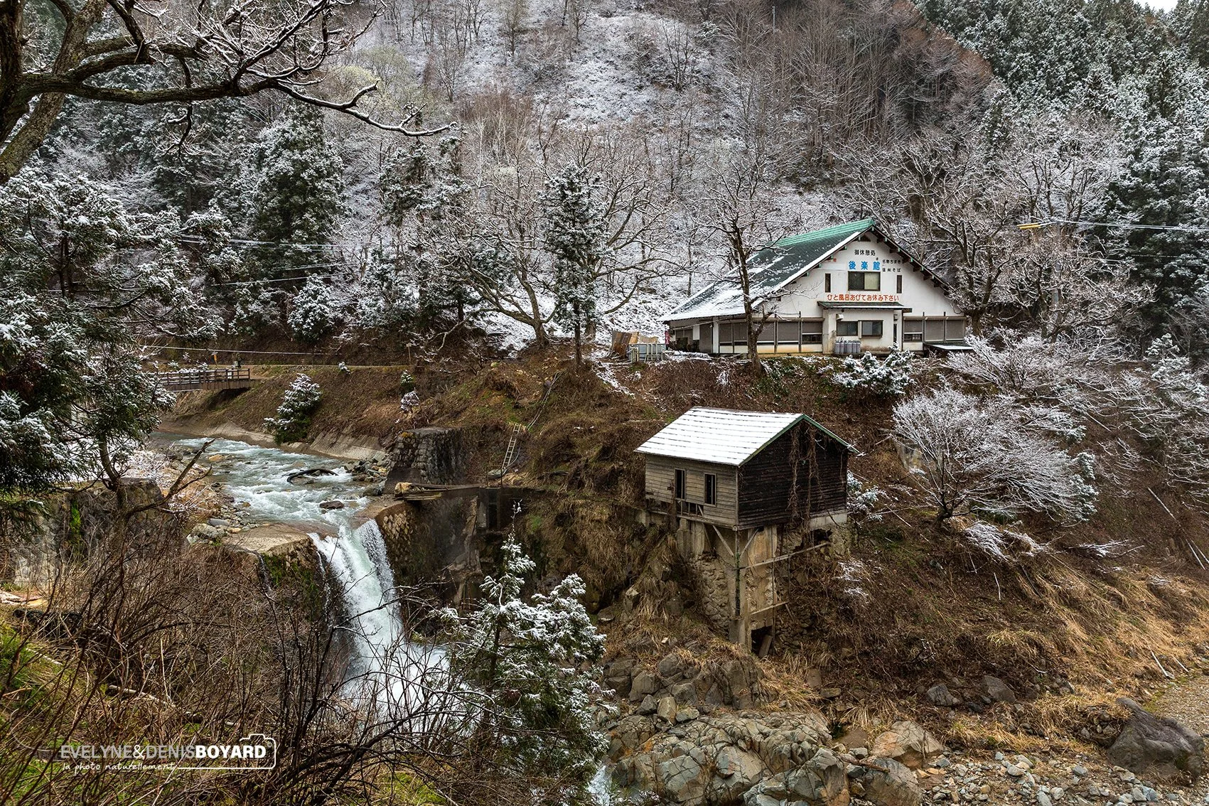 Parc de Jigokudani, région de Nagano.