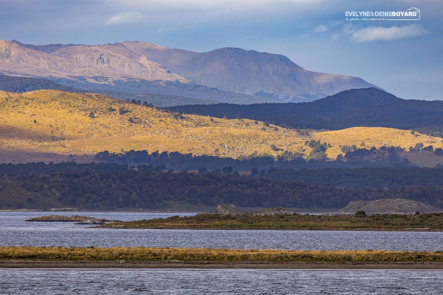 Beauté sauvage du parc national Tierra Del Fuego.