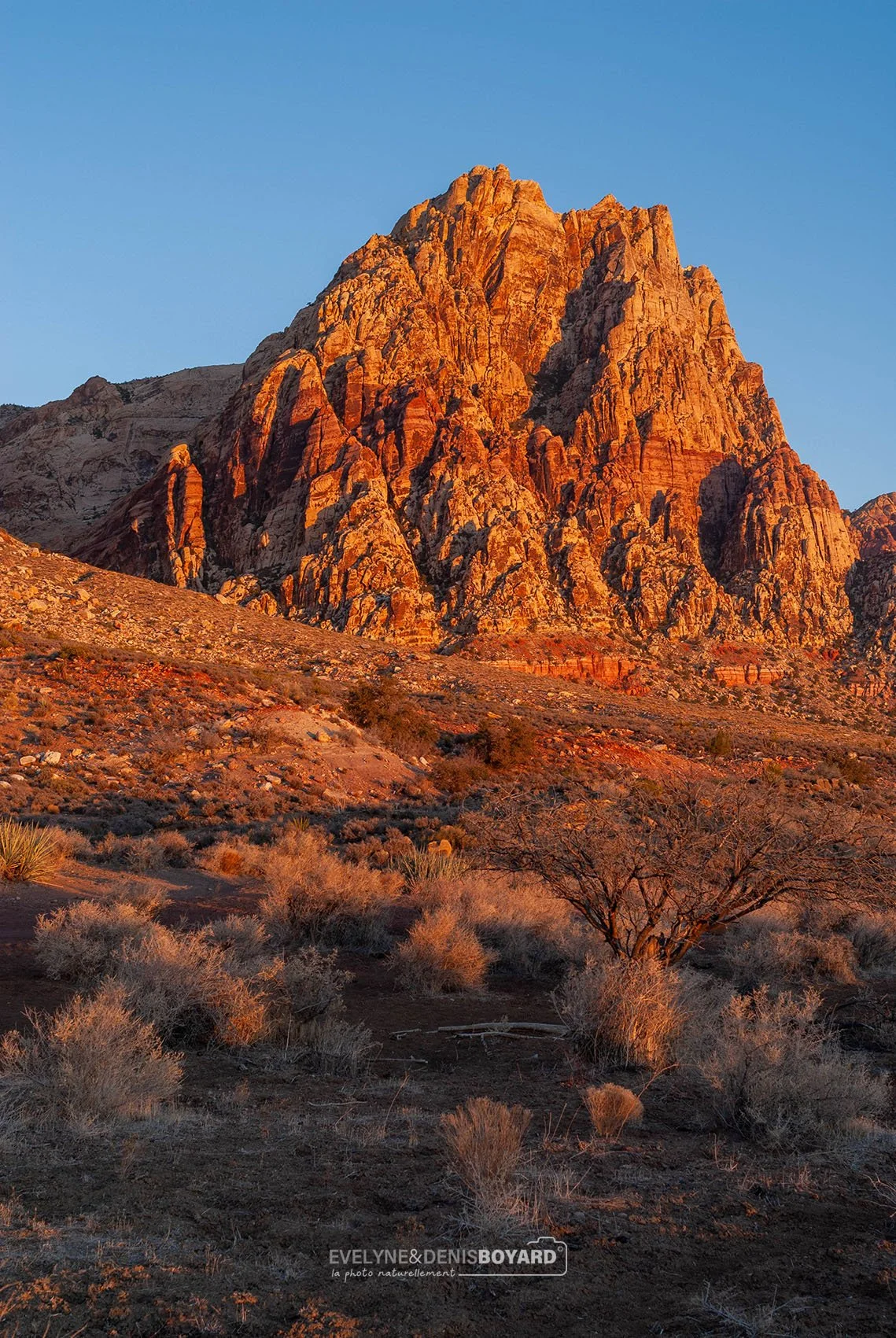 Lever de soleil dans le Red Rock Canyon (Nevada).