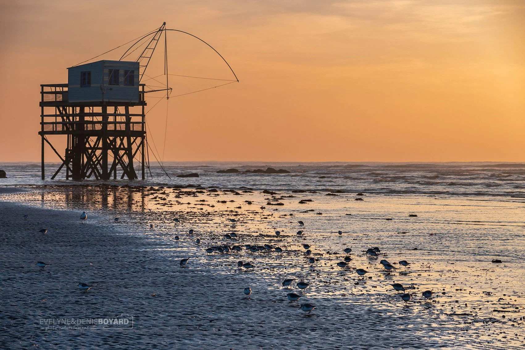 Coucher de soleil sur la plage du Pointeau à Saint-Brevin les Pins (Loire-Atlantique).
