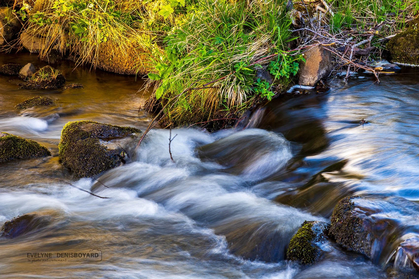 Rivière de la Sumène, Cantal.