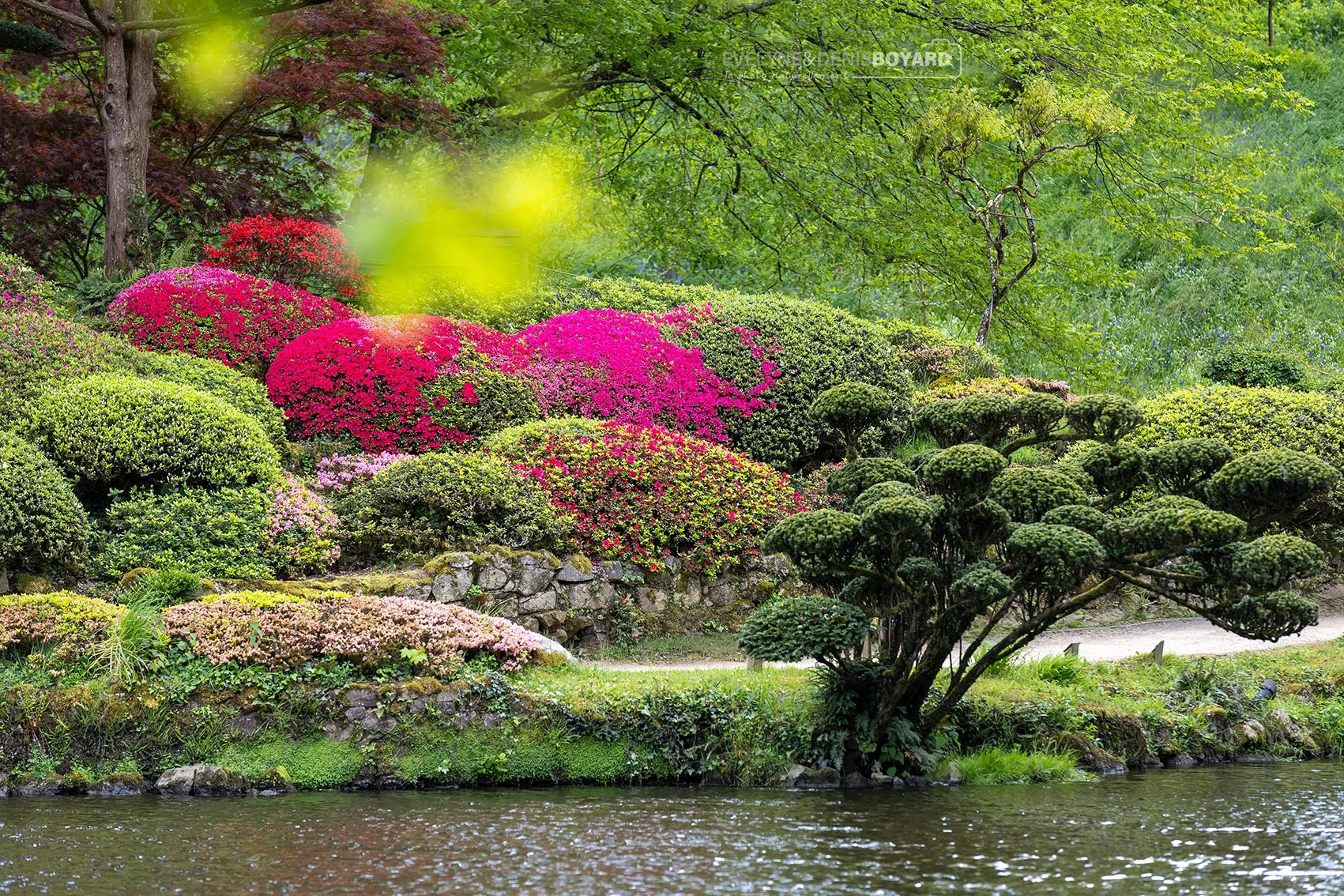 Parc oriental de Maulévrier, Maine et Loire.
