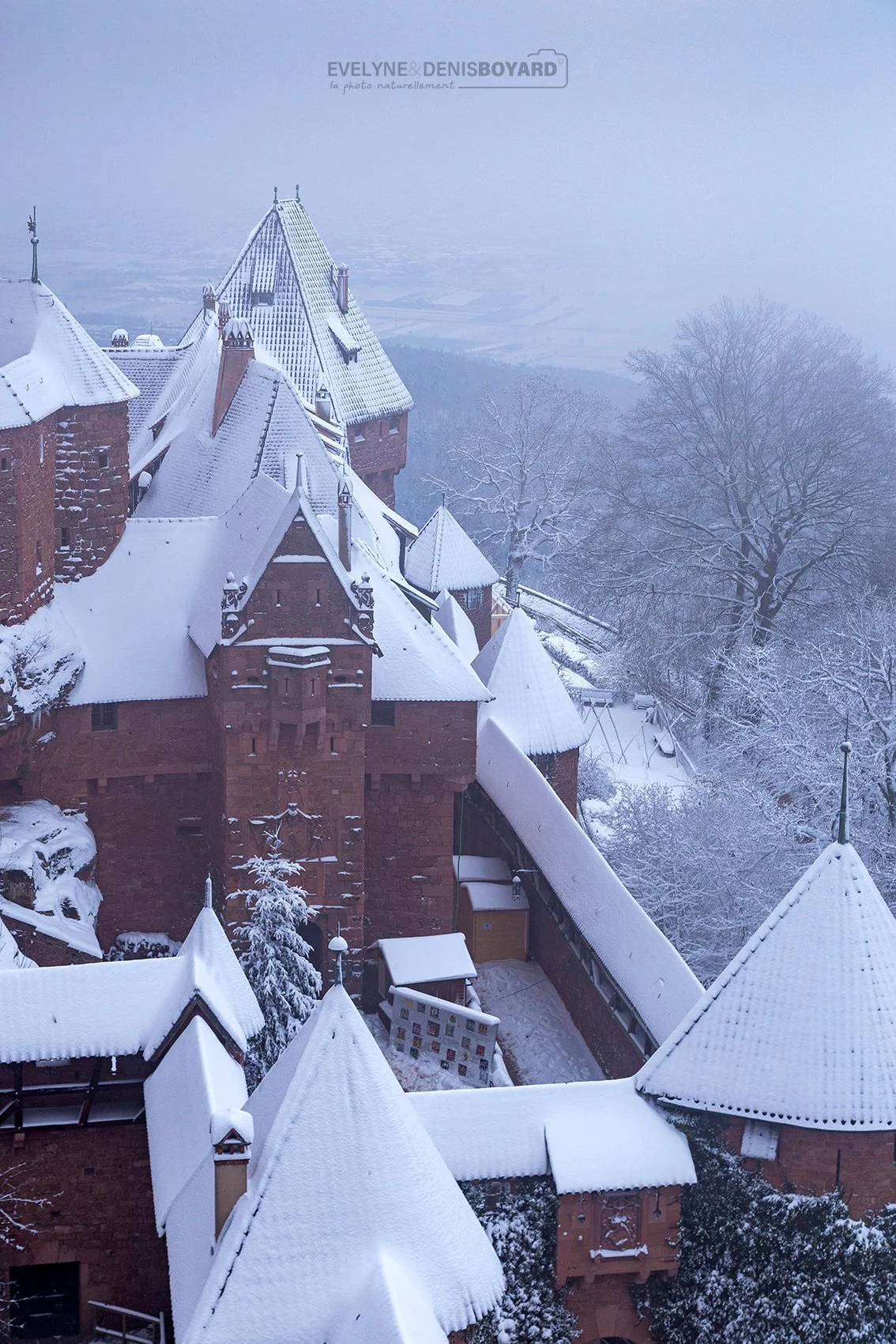 La magie du Château du Haut-Koenigsbourg en hiver (Bas-Rhin).