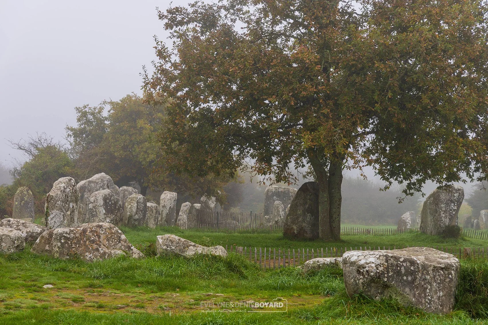 Plus de mystère encore avec le brouillard présent ce jour-là dans l'alignement des menhirs de Kerzerho (Morbihan).