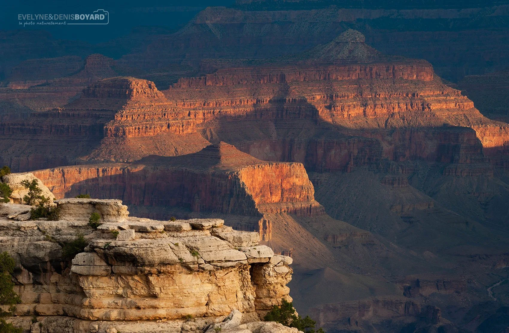 Lever de soleil sur le Grand Canyon.