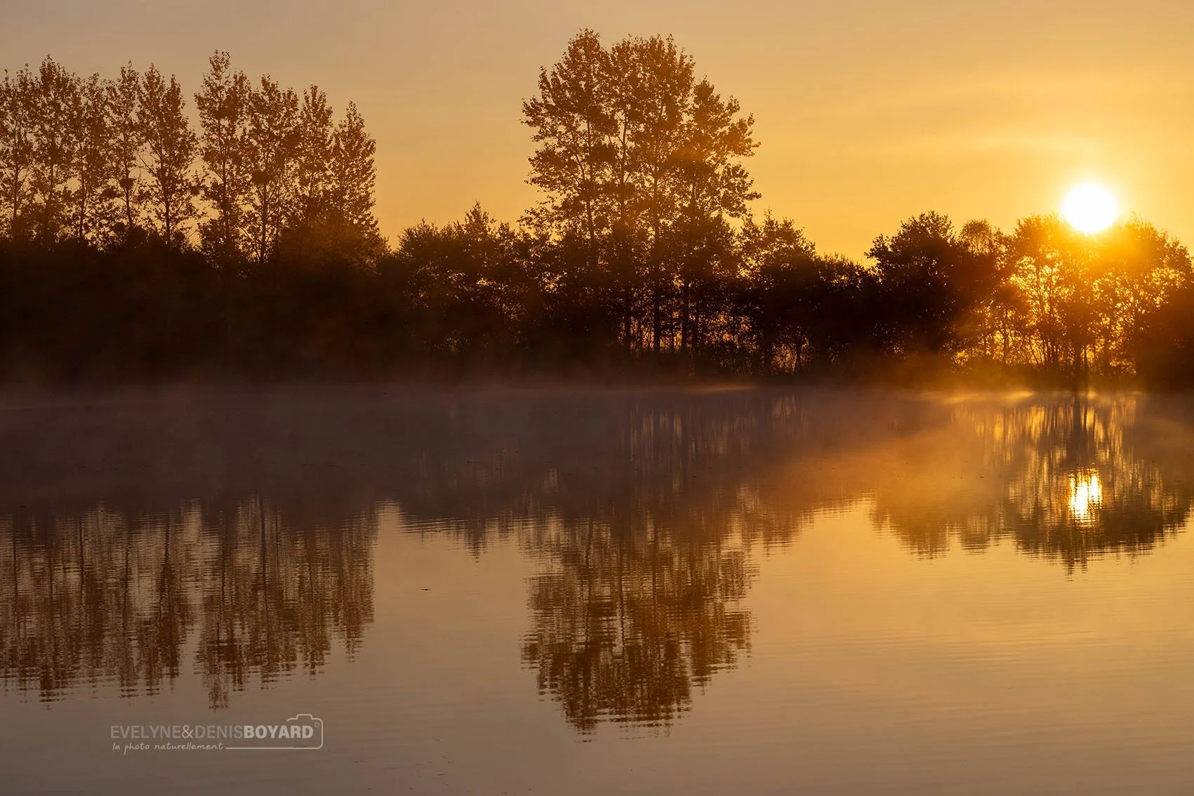 Lever de soleil sur un étang en Sologne (Loir-et-Cher).