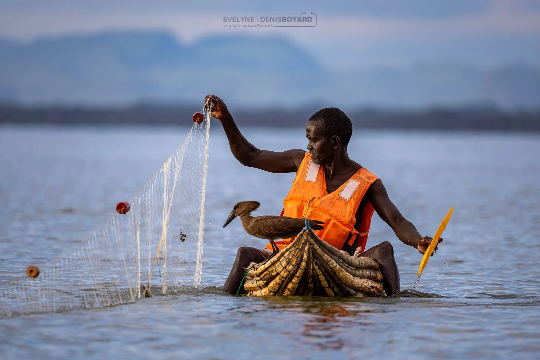 Pêcheur Njemps accompagné d'une ombrette (lac Baringo).