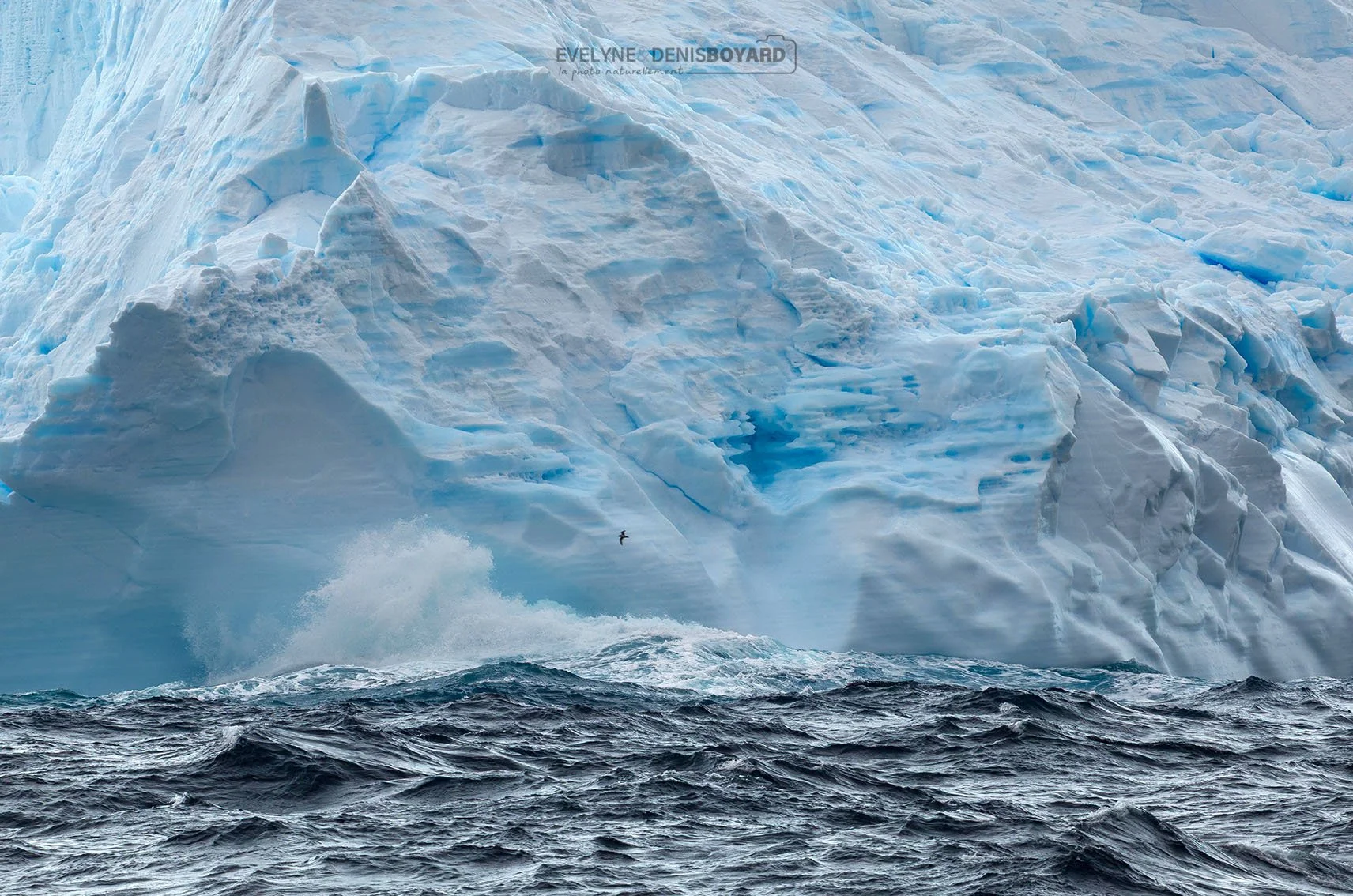 Iceberg subissant les assauts de la mer de Weddell.
