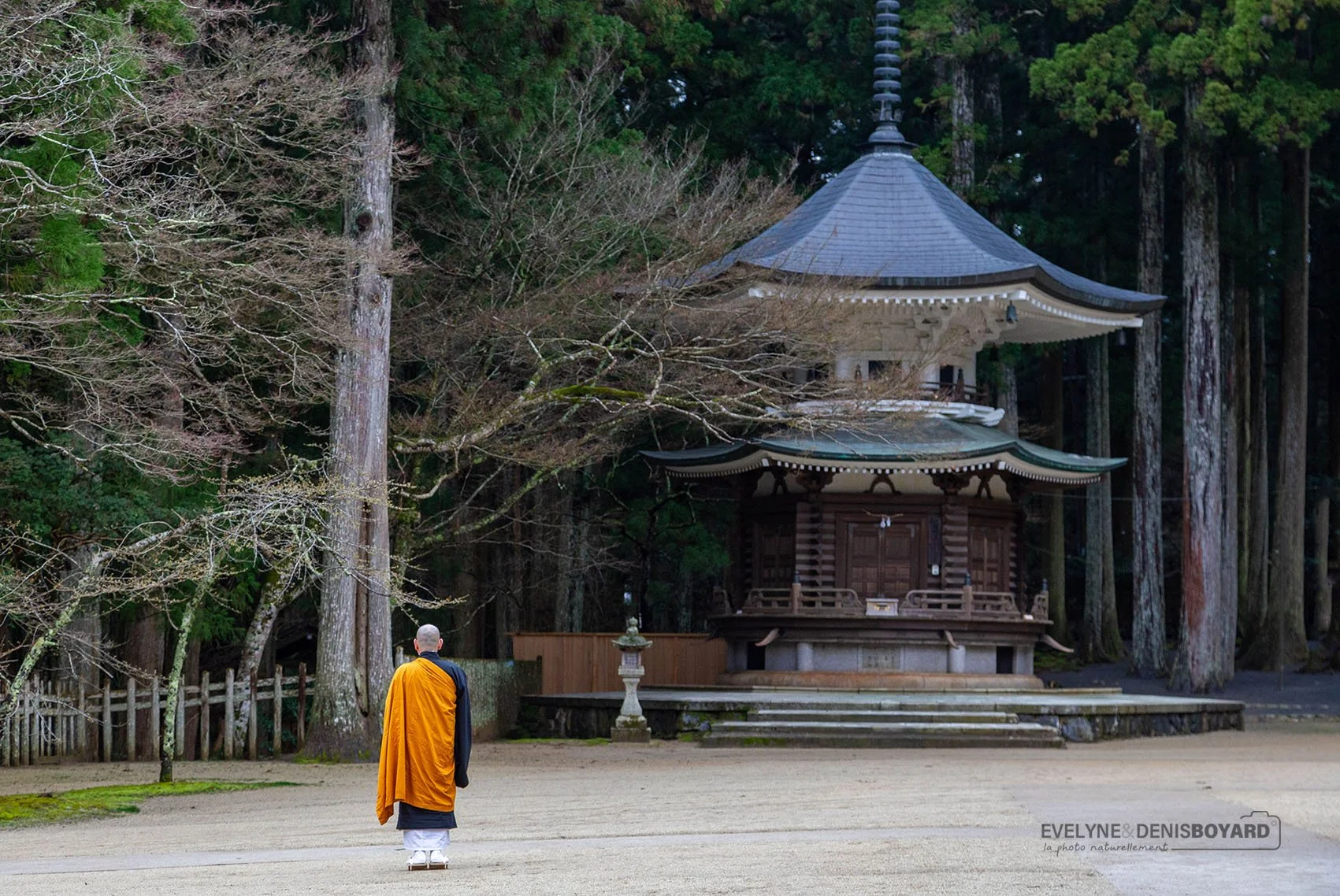 Moine bouddhiste priant à Kôyasan.