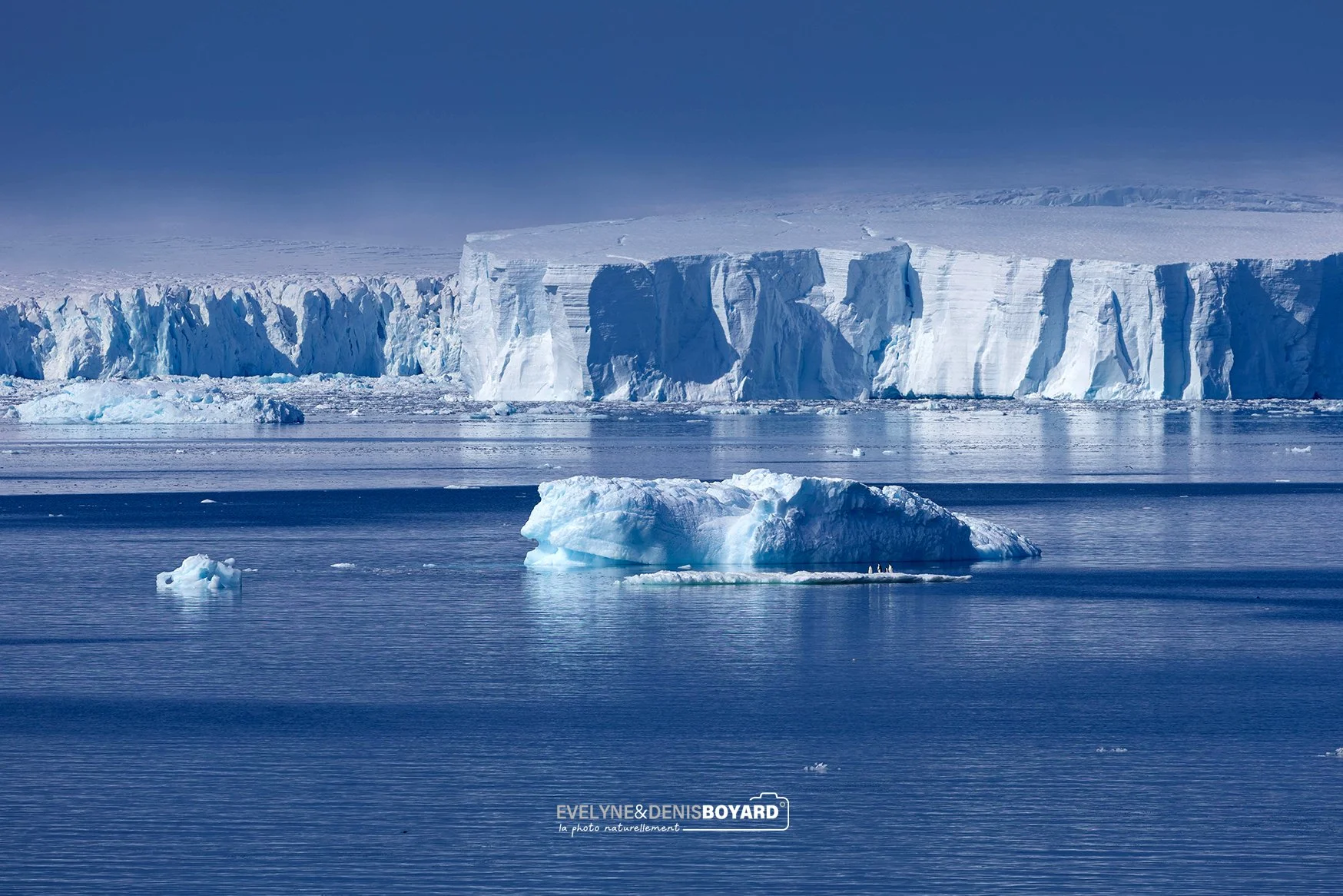 Camaïeux de bleus des icebergs en mer de Weddell.