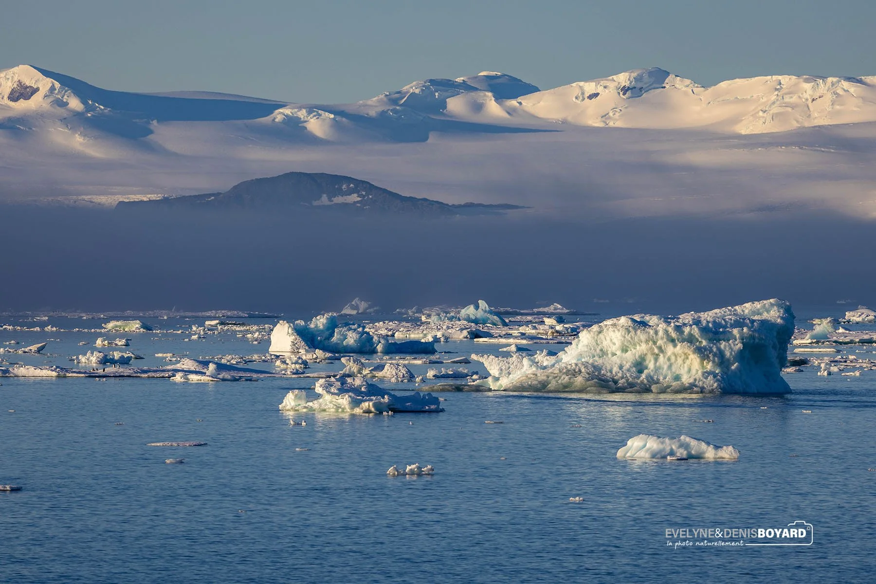Un empire de glace fascinant et sublime.