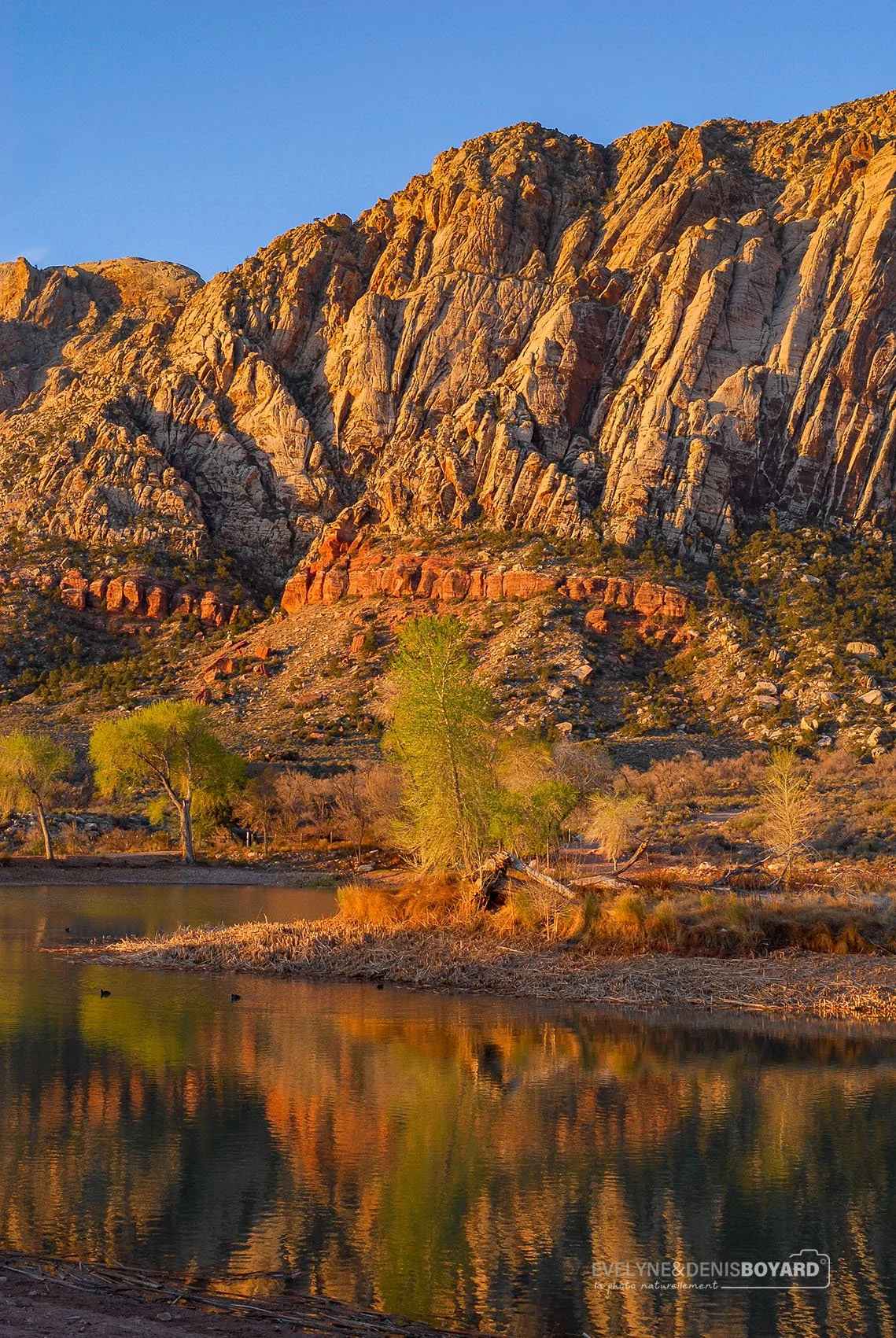 Lac dans le Red Rock Canyon (Nevada).