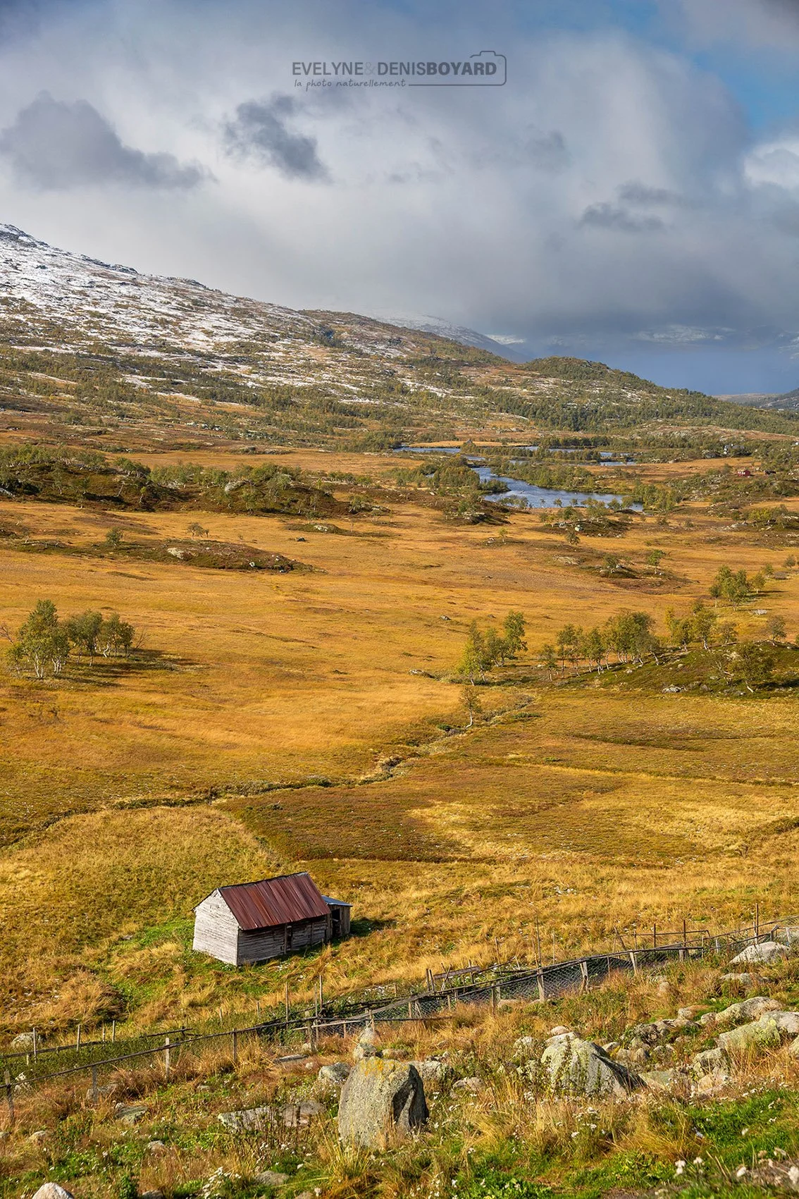 Toundra sur le plateau de Hardangervidda.
