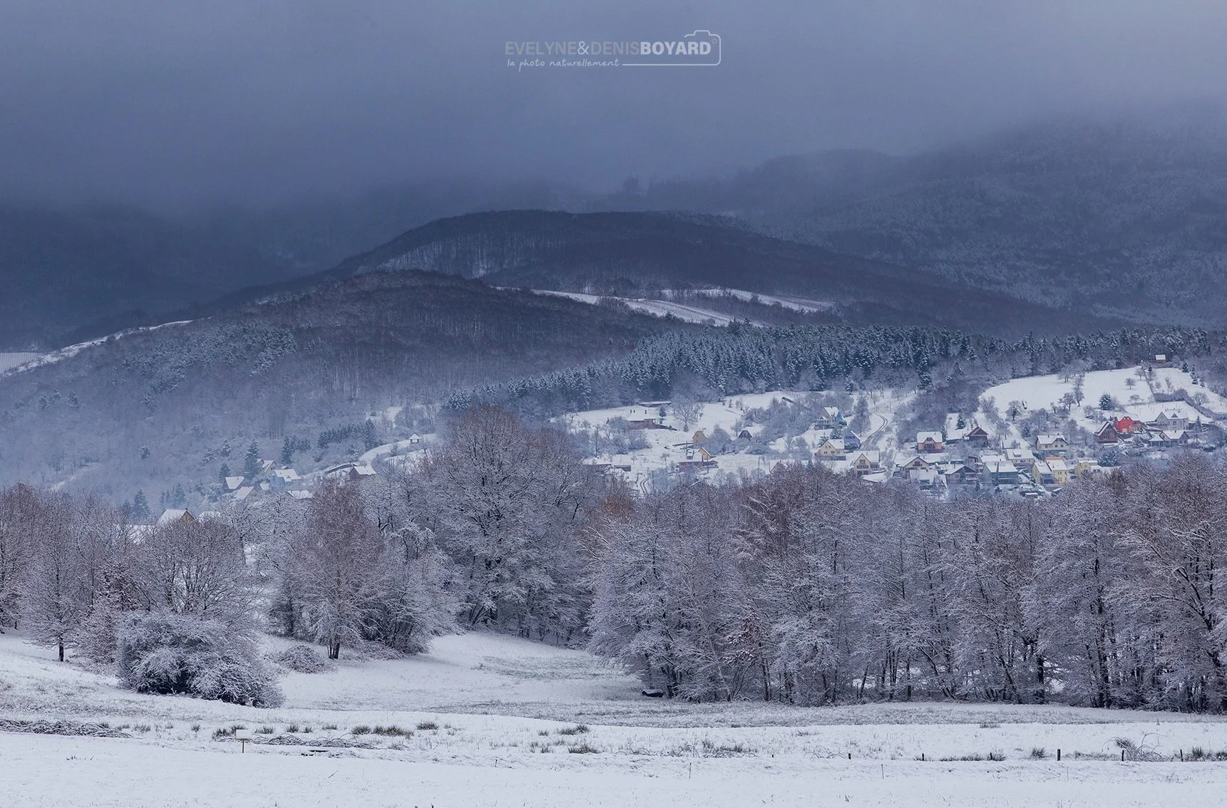 Hiver dans le massif des Vosges (Bas-Rhin).