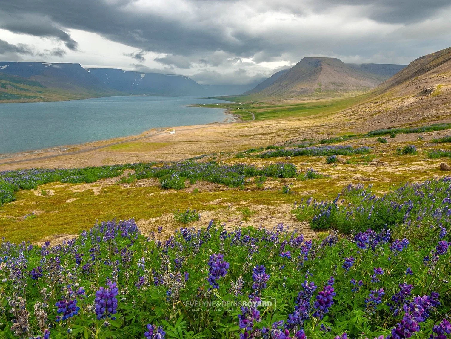 Islande