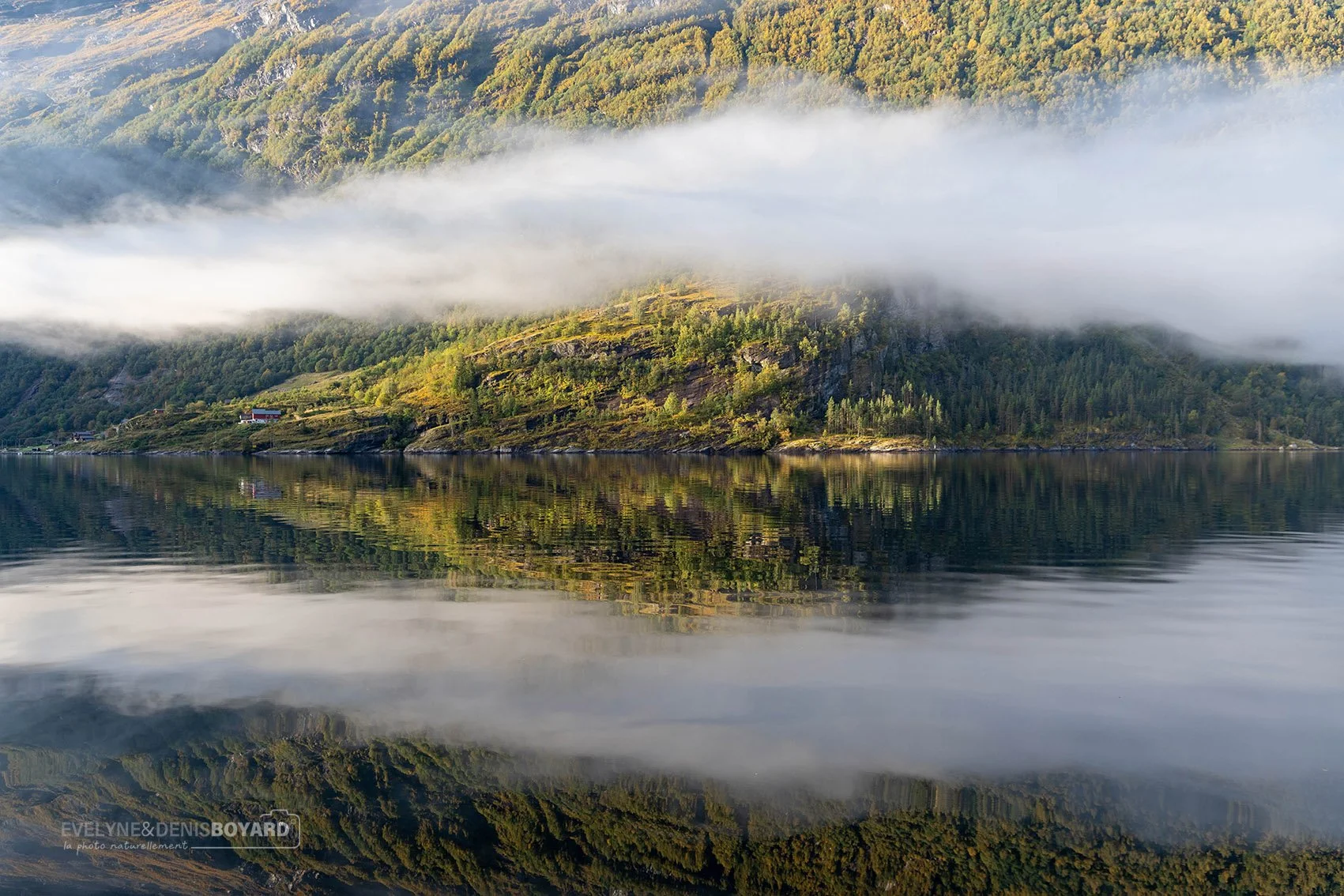 Brumes sur le Fjord. de Geiranger.