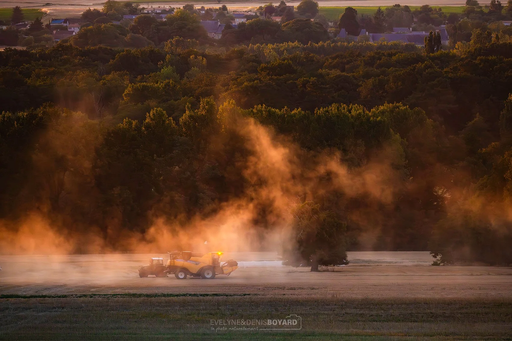 Moisson au soleil couchant dans la Vienne.