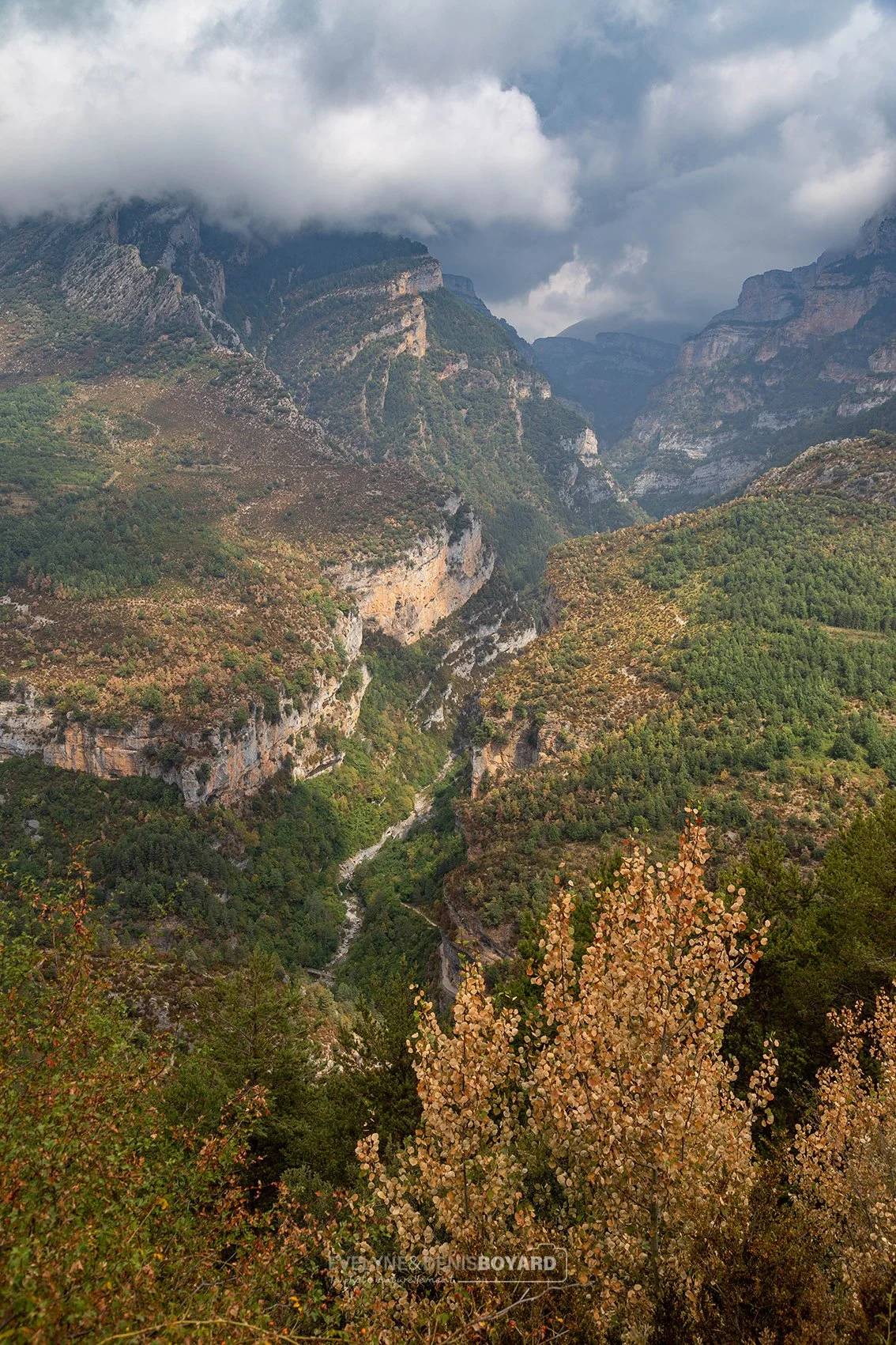 Canyon d'Añisclo, Aragon, Espagne.