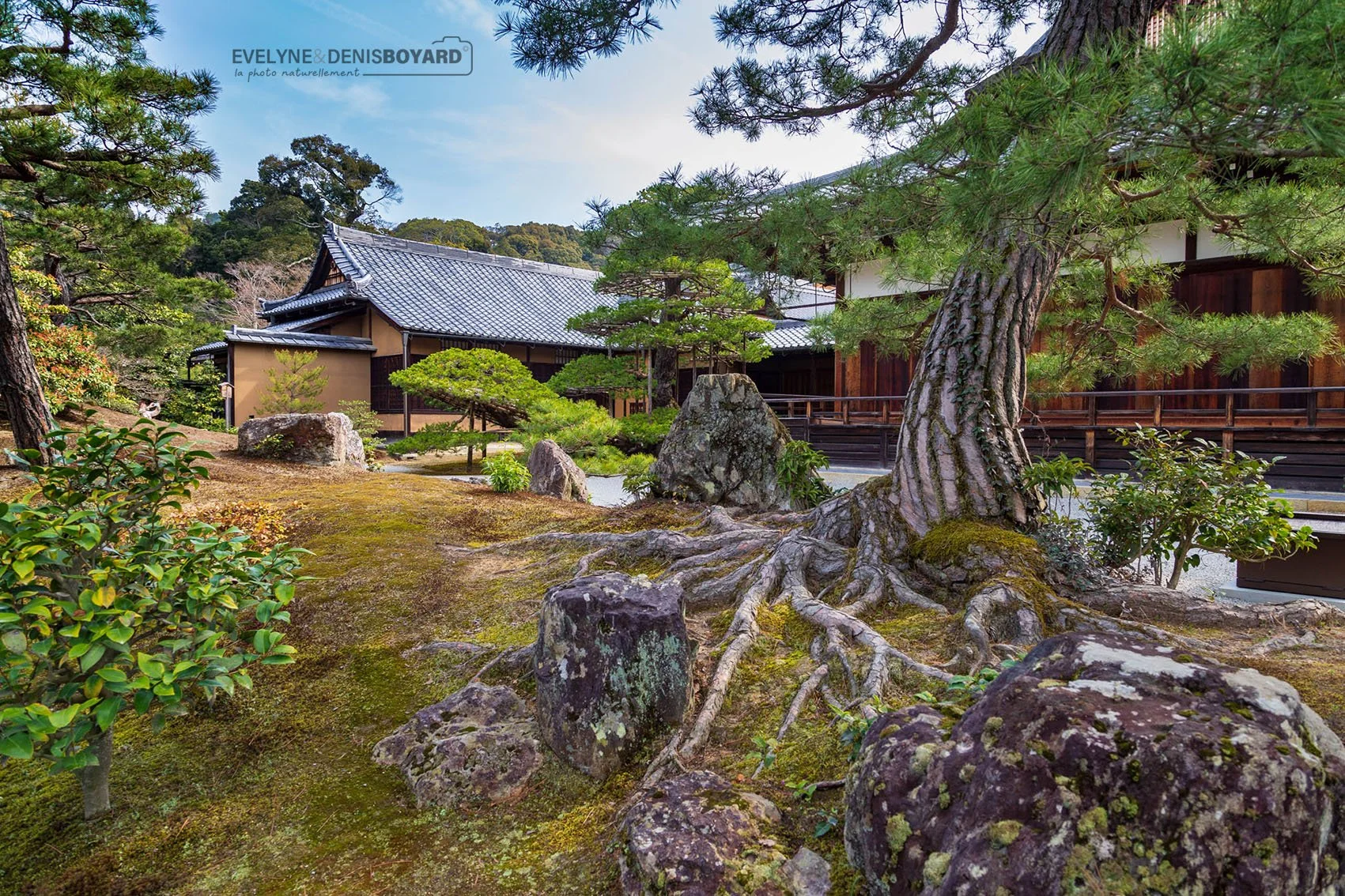 Jardins du Pavillon d'Or, Kyoto.
