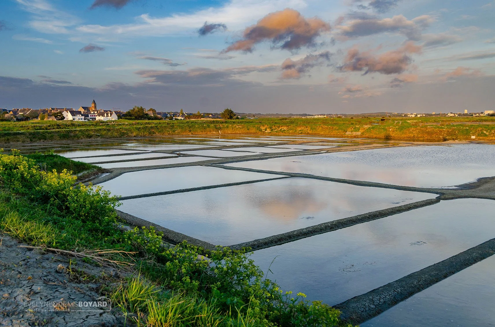 Marais salants de Guérande (Loire-Atlantique).