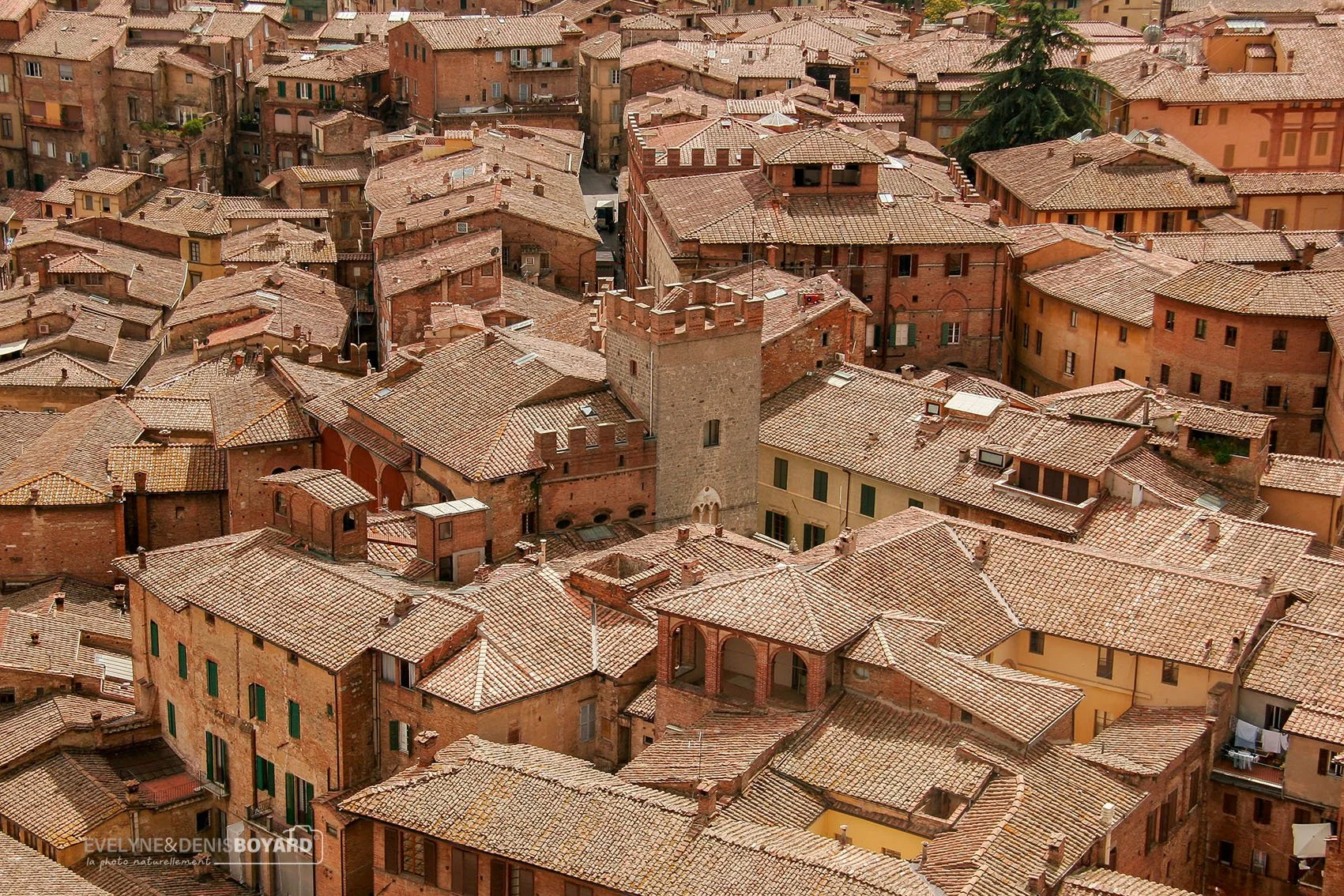 Beauté des tuiles ocres des maisons de Sienne, la "rivale" de Florence.