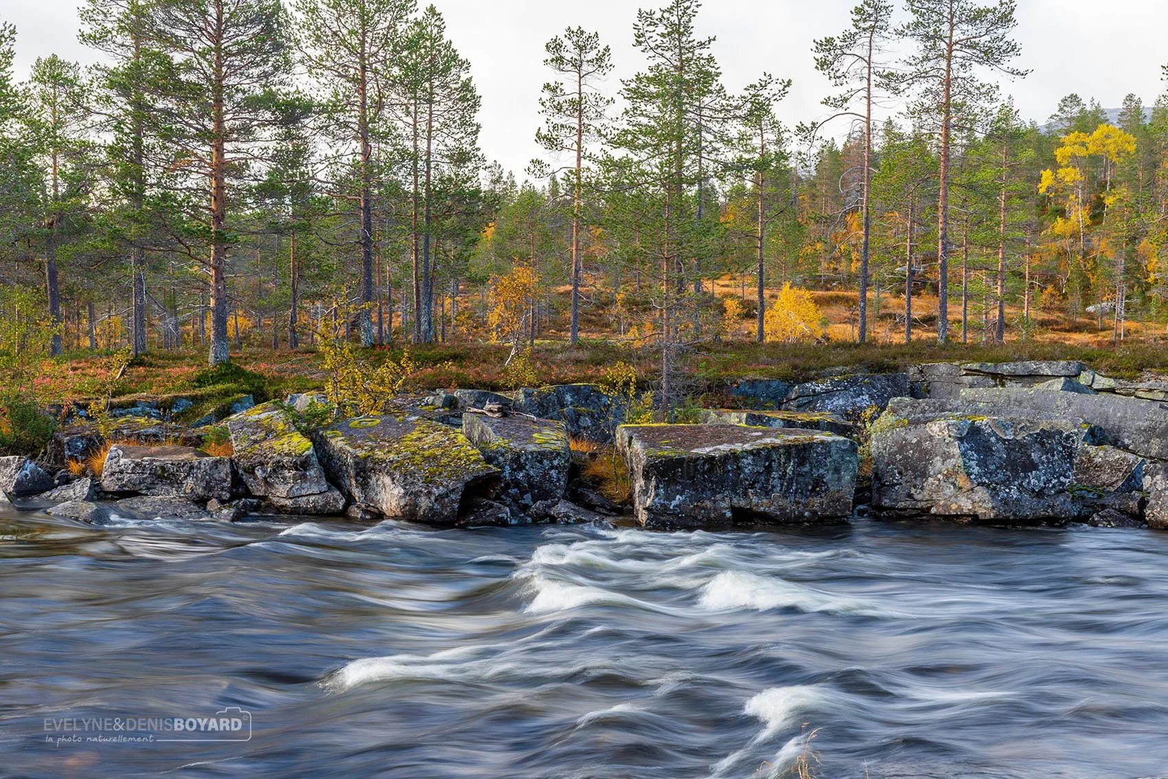Rivière sur la route Steinkjer - Mo I Rana.