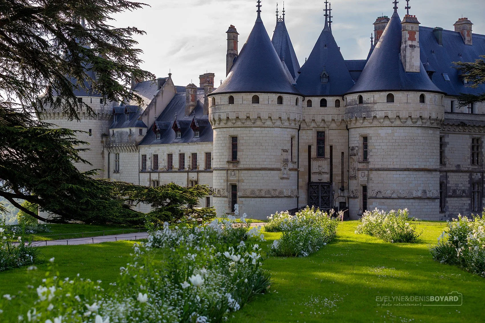 Le château de Chaumont-sur-Loire (Indre-et-Loire).