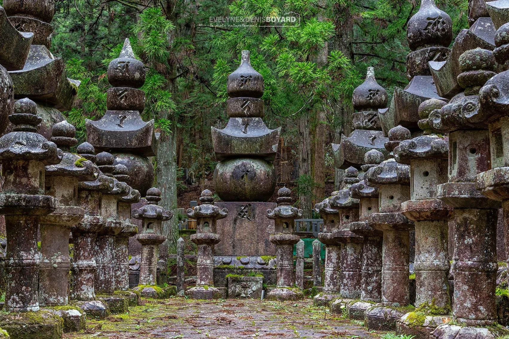 Nécropole de Oku-noin, le plus grand cimetière du Japon, Mont Koya, Osaka.