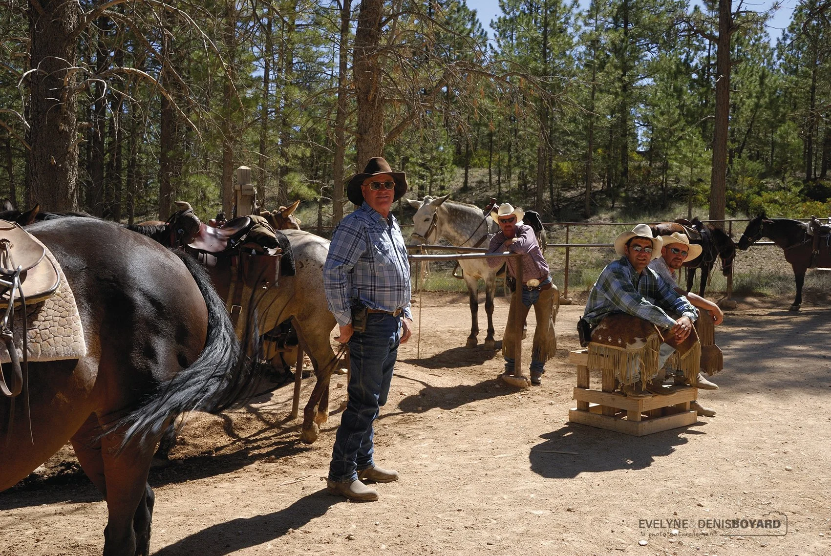 Cowboys proposant des balades à cheval dans Bryce Canyon (Utah).