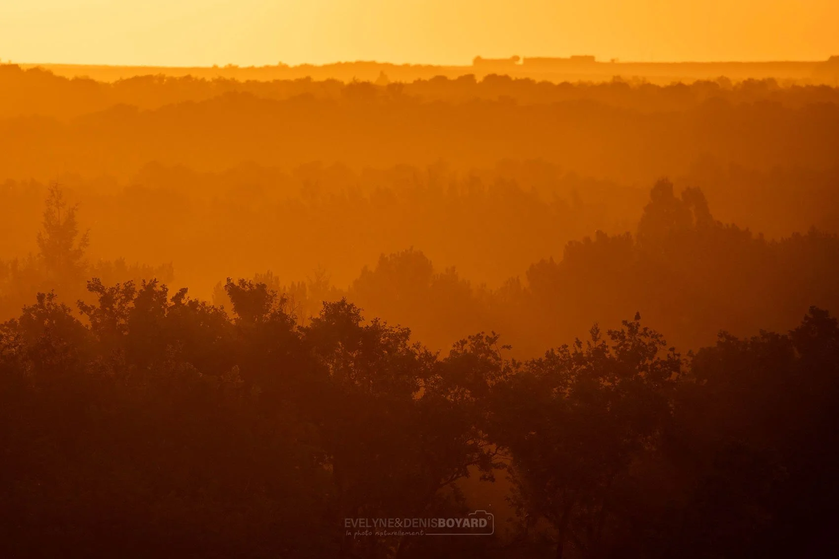 Soleil couchant dans la Vienne.