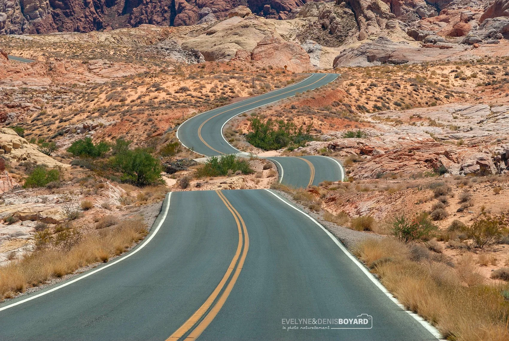 Route sinueuse dans la Vallée de Feu (Nevada).