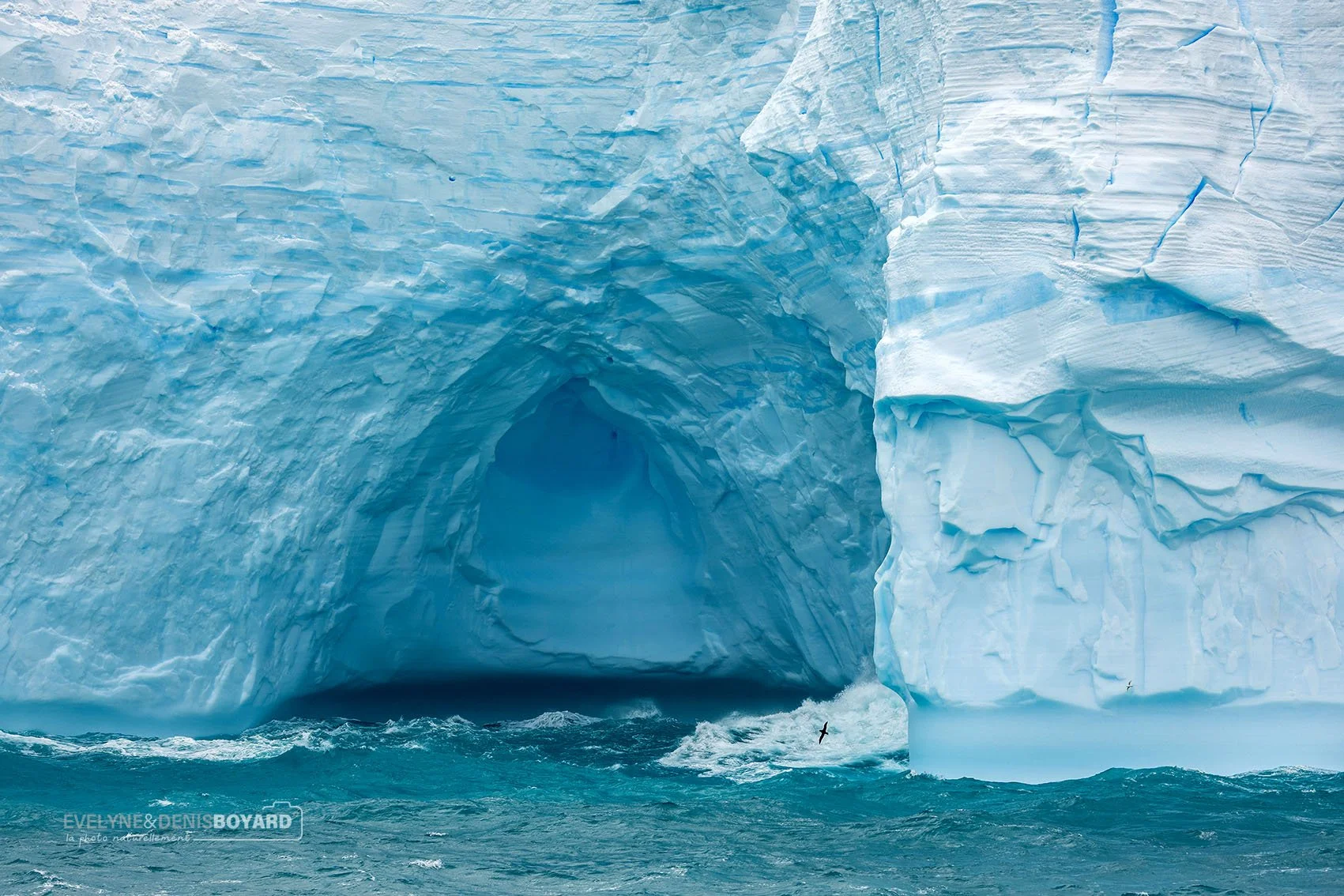 Les superbes couleurs des icebergs.