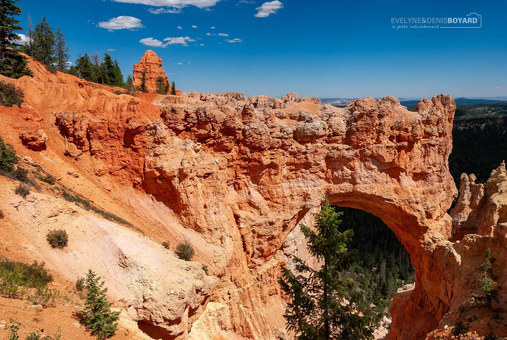 Natural Arch, Bryce Canyon (Utah).
