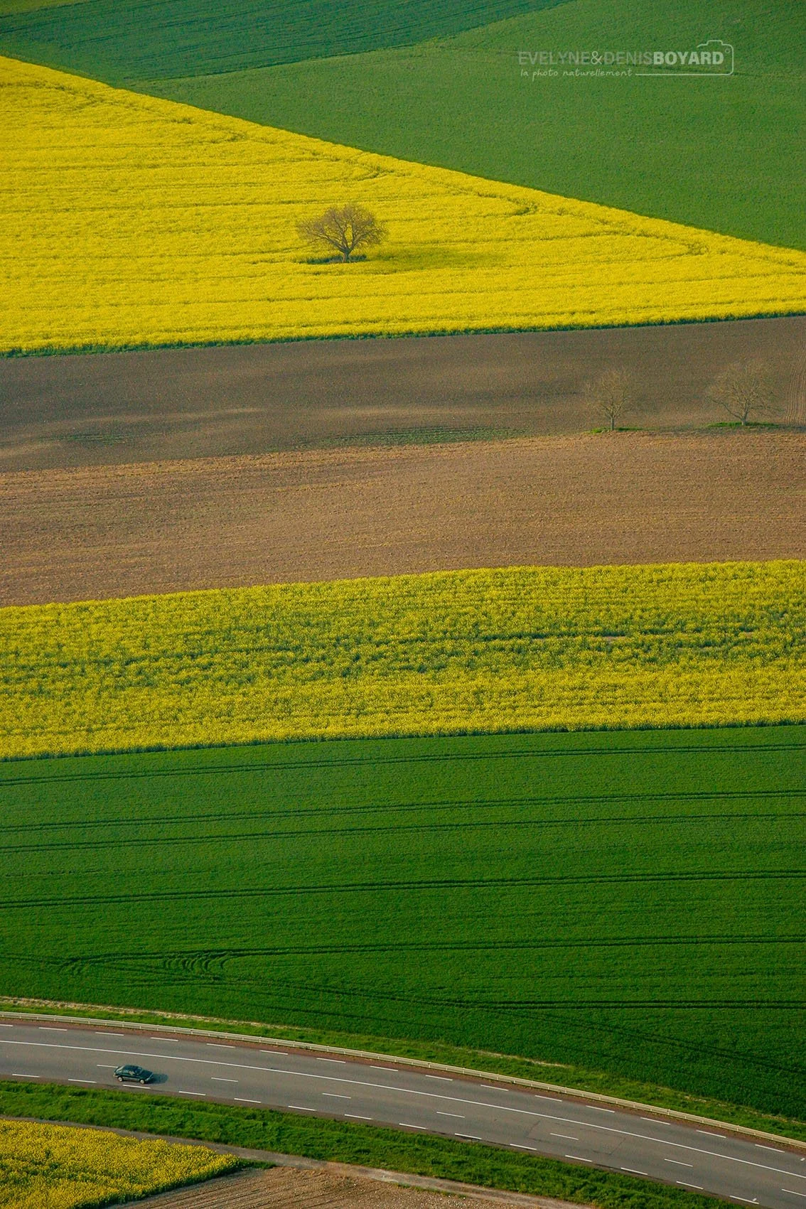 Vue aérienne sur les cultures dans la Vienne.