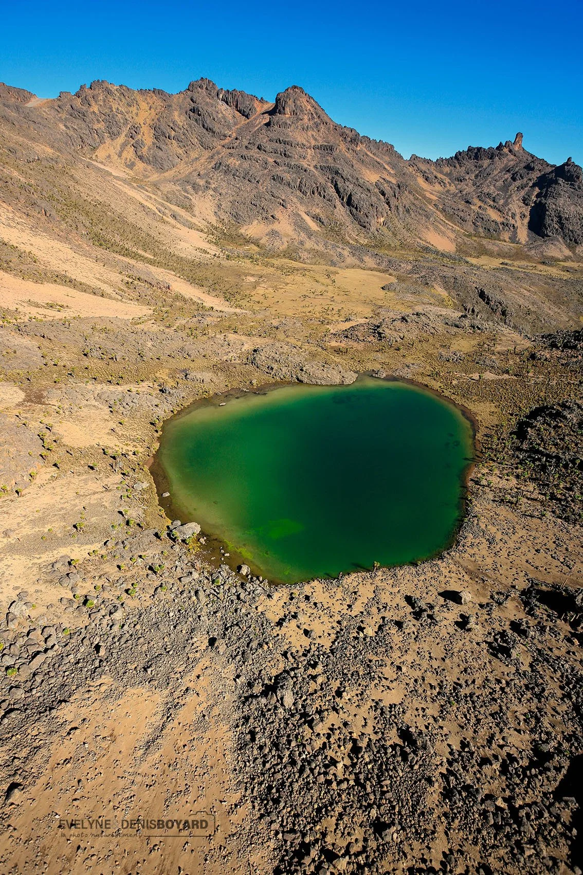 Lac vert sur les pentes du Mont Kenya.