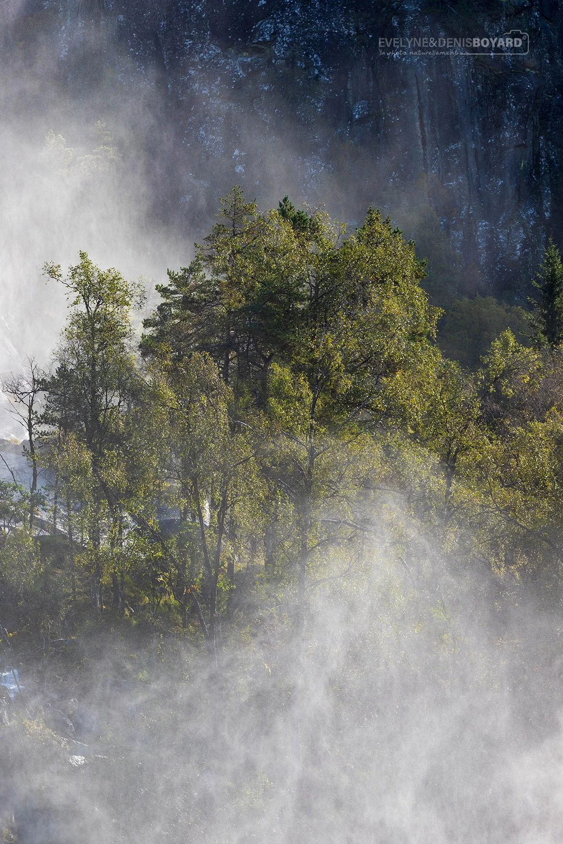 Cascade Latefossen.