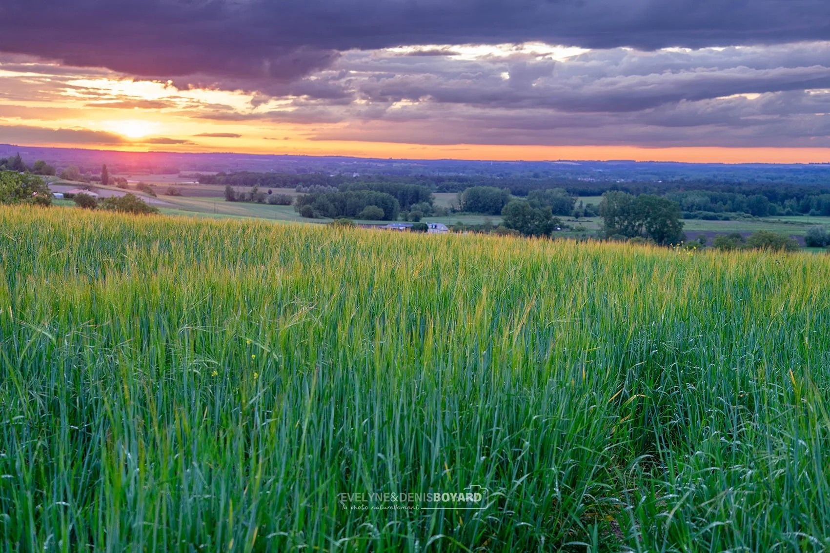 Soleil couchant dans la Vienne.