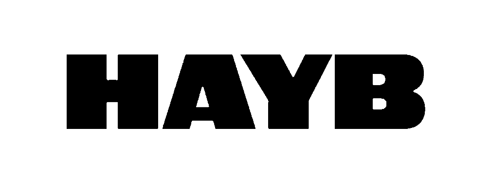 Hayb logo