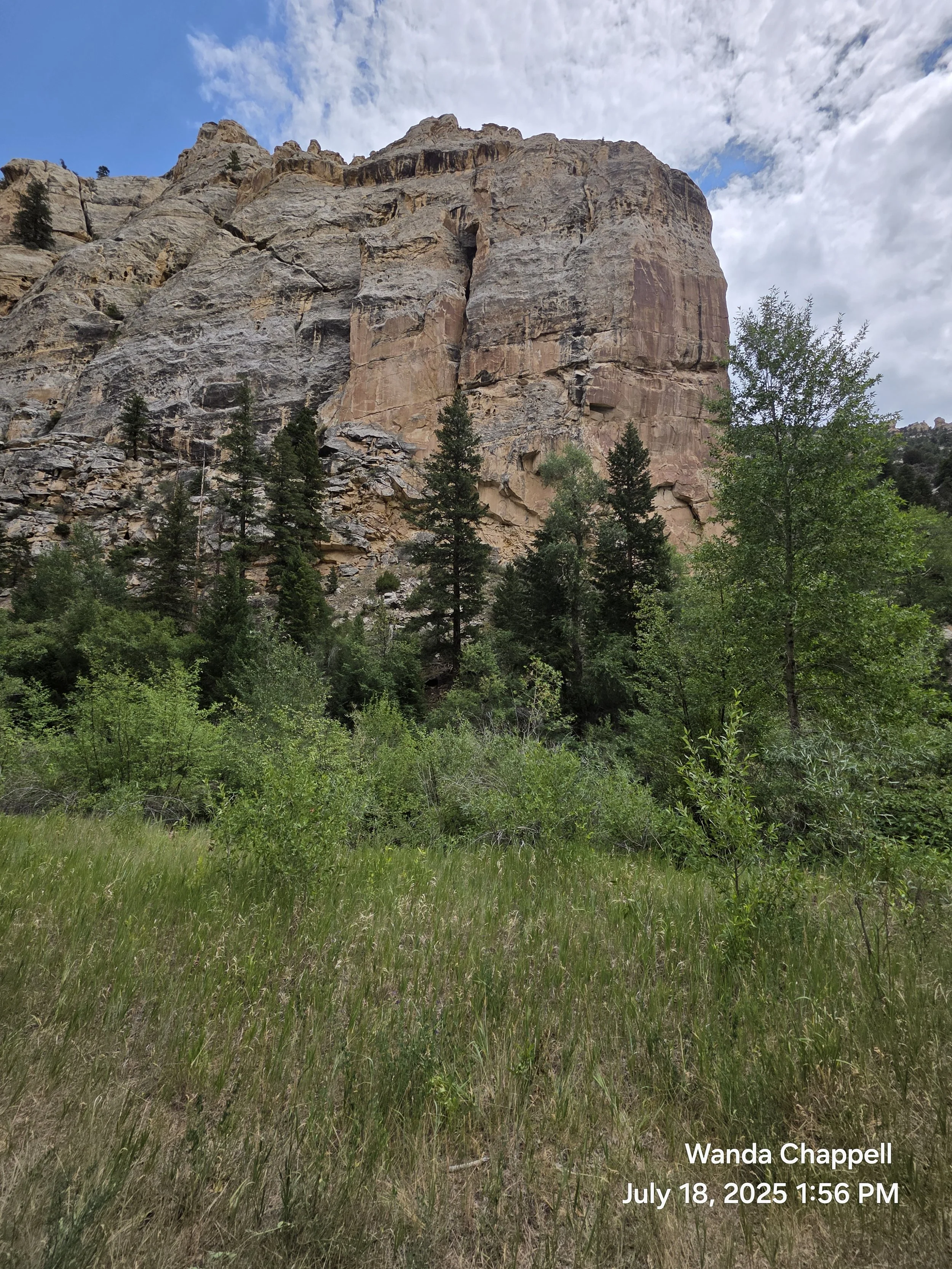20250718_135614.jpg