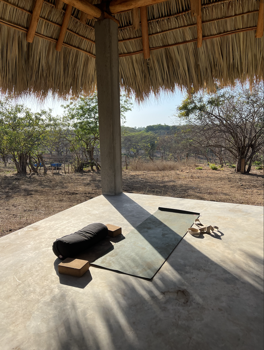 Screenshot 2026-03-03 at 1.00.48 PM.png